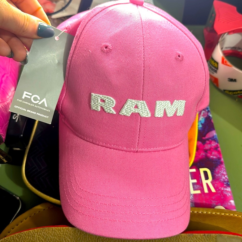 NWT Ram Hat